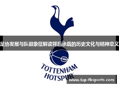 足协发展与队徽象征解读背后承载的历史文化与精神意义